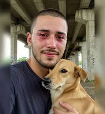 Stray dog changes homeless person's life