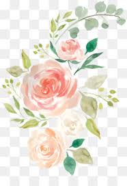 Acuarela Pintura De Red Portatil Diseno Floral Flor Rosa Flores Acuarela Png Transparentede Acuarela Floral Tutoriales De Pintura En Acuarela Fondos Acuarela