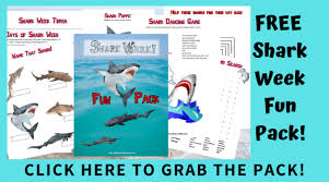 If you know, you know. Shark Activities For Preschoolers And Beyond Little Bins For Little Hands
