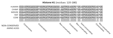 Penaltı oyunu ile kaleciye şut atma işlemi yap. Sequence Alignment Wikipedia