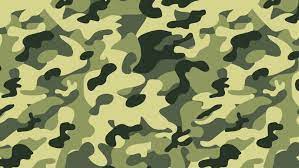 Suitable for presentations that require an army enlistment but is also suitable for army training on ppt classes or army course and presentations made by recruiter or soldiers. Camouflage Background