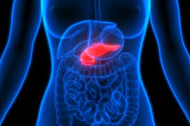 Five recent drug target discoveries for pancreatic cancer