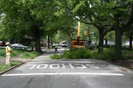 Our mission is to advance tree care businesses. Tree Care Wikipedia