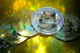 Considering how serious this doge looks, it looks like dogecoin means business. Id2r7jip20brnm