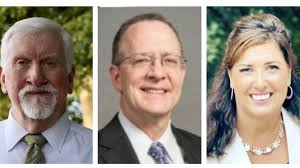 Braintree District 2 town council race features three candidates
