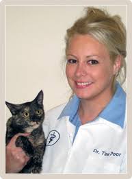 The entire philosophy at cat & dog hospital of portland is built around the importance of creating and nurturing trusted relationships with our clients. Norfolk County Veterinary Service Walpole Ma Vets
