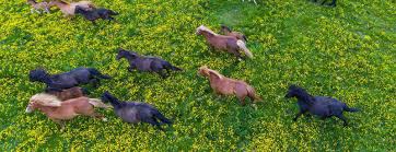 Meet Danielle Tate-Stratton