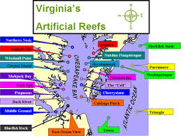 Artificial Reef Program