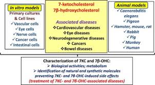 Free online smart upscaler software to enlarge images and photos (jpg, png) without losing quality. 7 Ketocholesterol And 7b Hydroxycholesterol In Vitro And Animal Models Used To Characterize Their Activities And To Identify Molecules Preventing Their Toxicity Sciencedirect