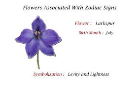 A cancer flower is something which helps with cancer. Pin By Rbs Gifts On Your Birth Month Flower Zodiac Sign Flowers July Birth Flower Birth Month Flowers Birth Flowers