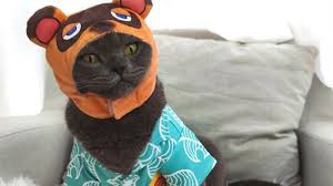 Pin By Graciewoodward On Items For Me Friends In 2020 Animal Crossing Cat Dressed Up Cat Day