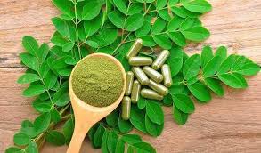 Image result for Moringa