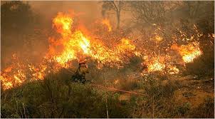 The fire, dubbed the chaparral fire, was reported just after 12:30 p.m. California Wildfire Rages Unaided By The Usual Winds The New York Times