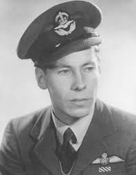 Britons, the RAF needs you: have your say in the vote for 'The People's  Spitfire Pilot'