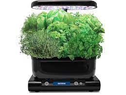 What to do if you start to see fungus or mold growing around the bottom of your plants on your aerogarden, march 6, 2020. Who S Laughing Now Why I Love The Aerogarden