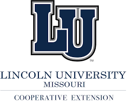 Lincoln university (pa)'s ranking in the 2021 edition of best colleges is. Program Information Lincoln University