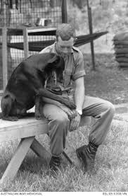 The australian community accepted that. Pin On Dogs Monochrome B W