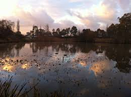 Armidale is a city in the northern tablelands, new south wales, australia. Rowan Tihema Art Food Travel People The World Yeeha