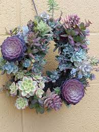 Encuentra ofertas de walmart en tu ciudad. Succulent Wreath Suculentas Corona De Suculentas Cactus Y Suculentas