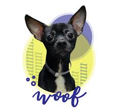 Fort wayne animal pet hospital. Adopt Humane Fort Wayne