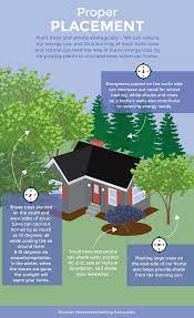 Gardening For Climate Change Learn About Strategic Planting To Save Energy Backyard Landscaping Designs Home Landscaping Backyard Trees