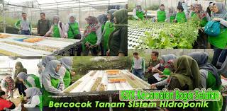 Acaranya juga beragam, mulai dari festival hingga pensi (pentas seni). K3tk Kecamatan Bogor Selatan Diajarkan Bercocok Tanam Sistem Hidroponik Ekskulnews