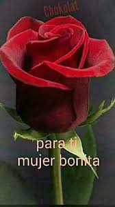 Pin En Frase