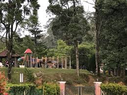 The apartment is clean and quite well kept. Things To Do In Fraser S Hill Family Friendly Guide World For A Girl