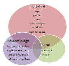 See full list on who.int Dengue Caring For Kids New To Canada