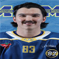 Ligue Hockey Côte-Sud