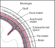 Image result