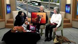 (sap), is a 501(c)(3) nonprofit volunteer organization funded by private donations. Buy Art Help Save A Pet Shelter 41nbc News Wmgt Dt