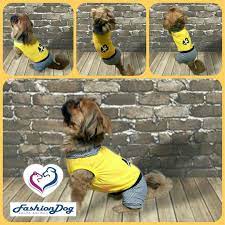 fashiondog kopek kiyafeti kopek elbisesi 00015 fiyat 49 40 tl kargo dahil beden xs s m l beden olculeri icin lutfen bed kopek tablolar instagram