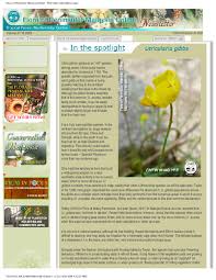 Image result for Utricularia reflexa