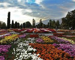 Image of باغ سیستماتیک باغ گیاهان دارویی و صنعتی (باغ گیاهشناسی) تهران