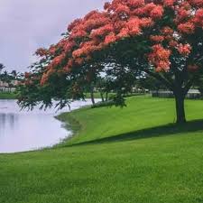 View listing photos, nearby sales and find the perfect home for sale in springfield, mo. Top 3 Best Leaf Removal Services In Springfield Mo Angi Angie S List