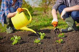 Check spelling or type a new query. Watering Your Vegetable Garden Schwartz Greenhouse