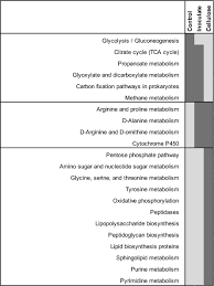 English (australia) english (canada) english (ireland) english (united kingdom) español. Soil Microbial Restoration Strategies For Promoting Climate Ready Prairie Ecosystems Docherty 2019 Ecological Applications Wiley Online Library