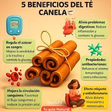 El té de cebolla morada con canela ayuda a fortalecer el sistema  inmunológico, mejorar la circulación, aliviar la tos, reducir la  inflamación y equilibrar el azúcar en la sangre.