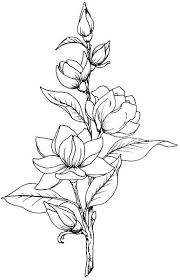 Black And White Flower Painting Ideas Beccy S Place Magnolia Beautiful Flower Drawings Flower Line Drawings Flower Sketches