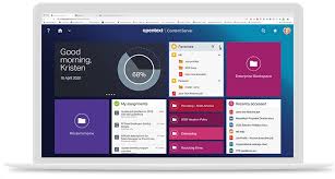 In einem ofenfesten topf mit schwerem. Content Services Opentext Content Suite