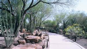 This is a great nursery. Ethel M Chocolates Cactus Garden Henderson Nv