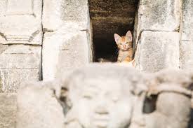 A Jogja Roadtrip To Borobudur For Sunrise Bold Travel