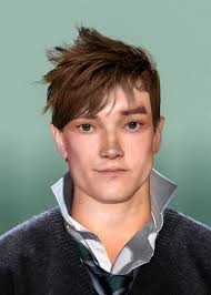 Semi-Realistic Barnaby Lee : r/HPHogwartsMystery