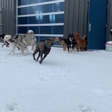 Your pets well being is our main priority. Happytails Pet Resort Spa Home Facebook