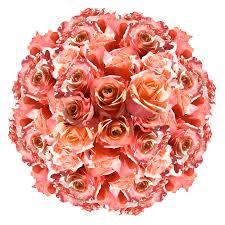 Beauty and dependability since 1962. Vibrant Orange Pink Bulk Roses Globalrose