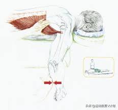 One Muscle Per Day Latissimus Dorsi And Teres Major Muscles Anatomy Entry To Mastery Daydaynews