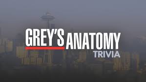 Hoda kotb's new podcast is live! Grey S Anatomy Trivia The Trivia Bar