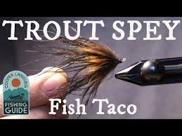 Maybe you would like to learn more about one of these? How To Tie Jeff Hickman S Fish Taco A Trout Spey Version Youtube Fish Trout Fly Fishing Tips
