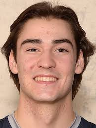 Boys volleyball: Erie Times-News District 10, Region All-Stars